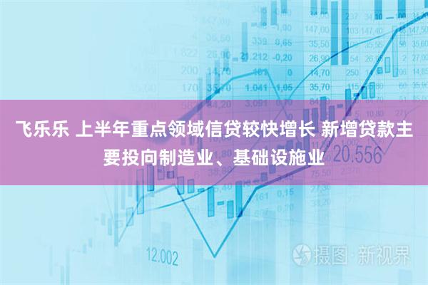 飞乐乐 上半年重点领域信贷较快增长 新增贷款主要投向制造业、基础设施业